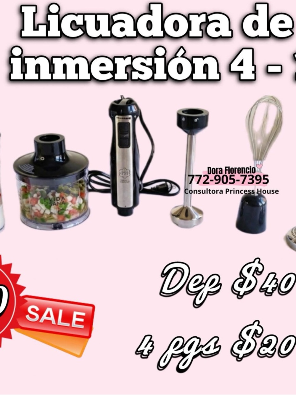 Princess House Stainless Steel and Black Immersion Blender Set